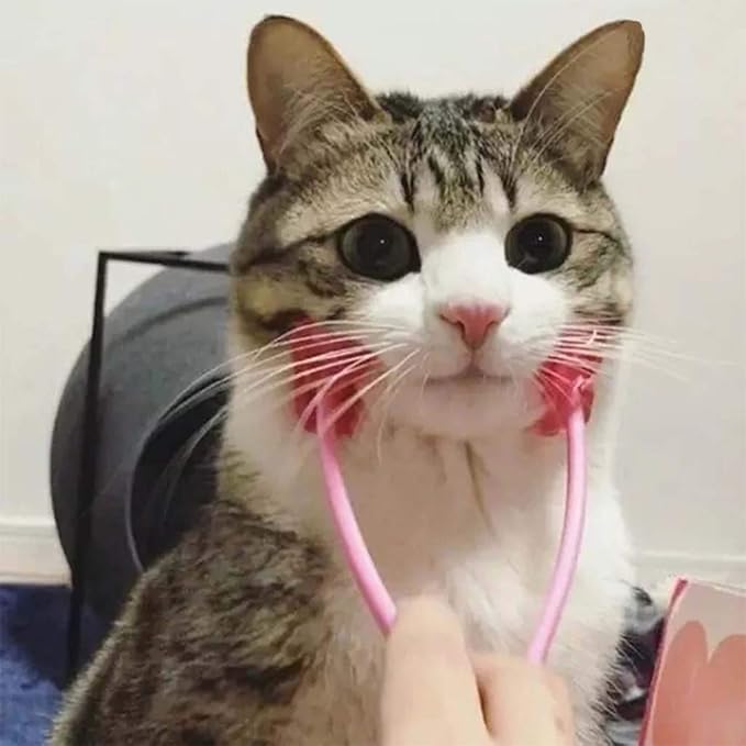 Face Massager for Cat Pet Face Massager Roller Cat Grooming Tool with 4 Massager Roller Handle Comfortable Grip