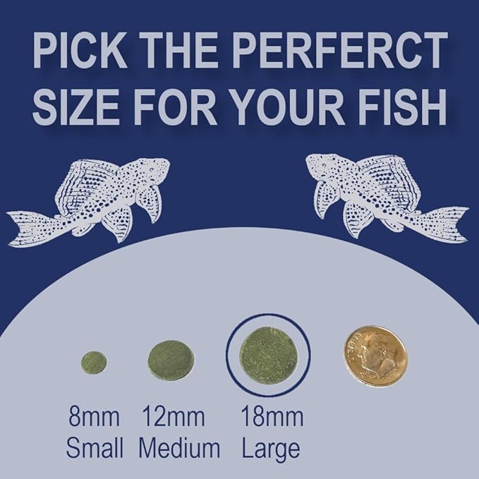 Large 18mm Algae Wafer - Algae Wafers for Bottom Feeders - The Best Pleco Wafers & Pleco Food Available - Algae Wafers for Snails (16 oz)