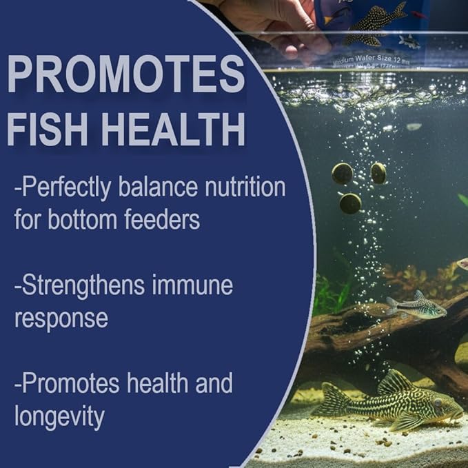 Large 18mm Algae Wafer - Algae Wafers for Bottom Feeders - The Best Pleco Wafers & Pleco Food Available - Algae Wafers for Snails (8 oz)