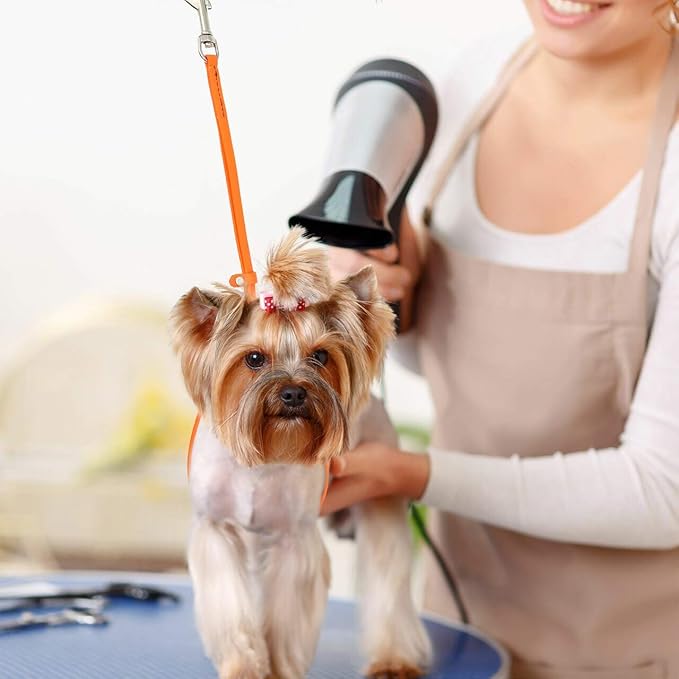 Jelly Pet Grooming Loop for Dogs | Fits Most Pet Grooming Tubs and Tables | Easy to Clean, & Waterproof Noose Loop | Stronger Than Leather | Made in The USA | 6-Pack