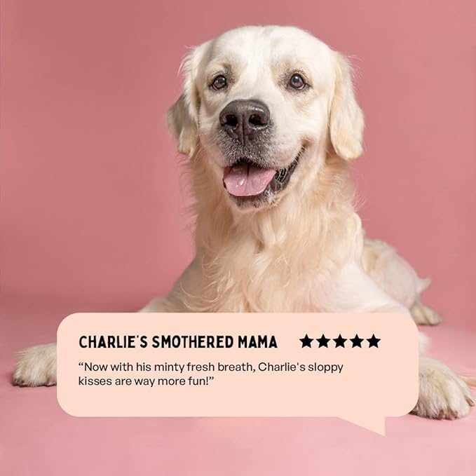 Furlicks Fresh Breath Oral Strips for Dogs & Cats | Natural Spearmint & Thymol for Easy and Convenient, All-Natural Oral Care (30 Oral Dissolving Strips)