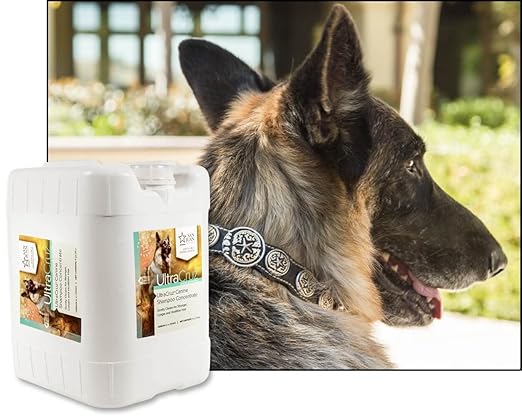 UltraCruz® Canine Shampoo Concentrate, 5 gallons