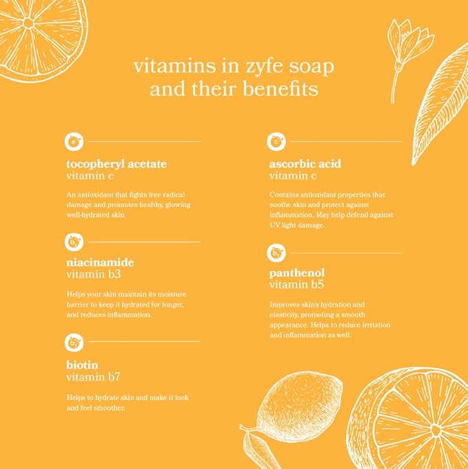 12 Bottle Case of Vitamin Hand Soap - Liquid Hand Soap Value Pack Deal - Natural Plant Derived Moisturizing Handsoap with Essential Oil Fragrance Citrus Bask- Wholesale Carton