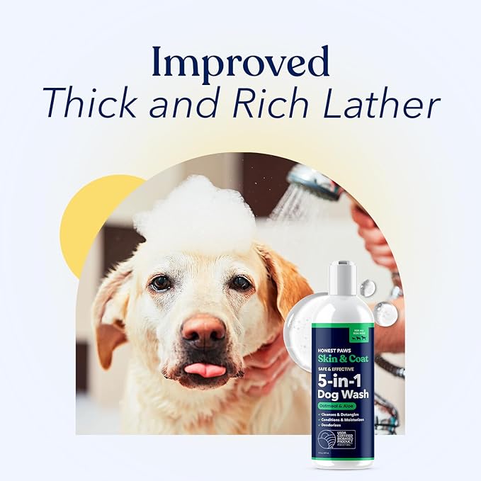 Honest Paws Dog Shampoo and Conditioner - Premium Dog Wash for Allergies and Dry, Itchy, Moisturizing for Sensitive Skin - Sulfate Free, Plant Based, All Natural - Oatmeal & Aloe -16 Fl Oz