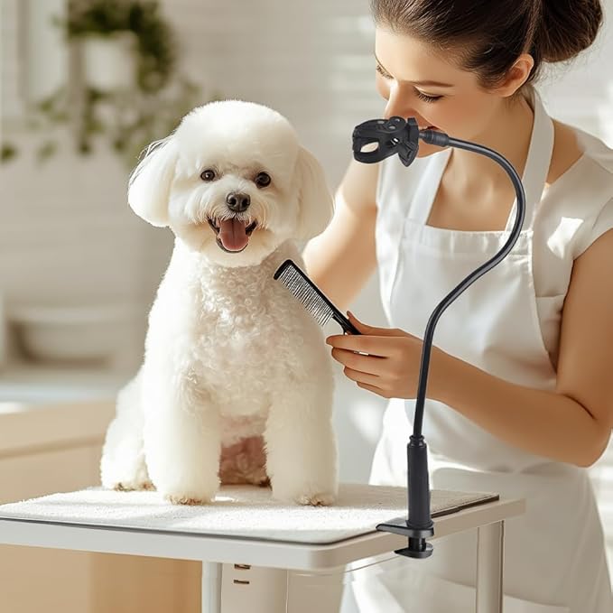 Joyzan Dog Hair Dryer Stand, Pet Grooming Table Hands Free Blow Holder 360°Rotatable Adjustable Lazy Third Arm Clamp Flexible Aluminum Alloy Groomers Hose Tube Mount Clip Cat Countertop Shower