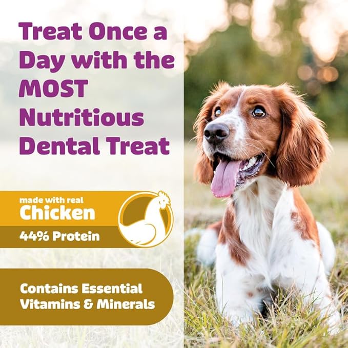 Longevity15 C15:0 Dog Health Supplement (30-Day Supply) & Yummy Combs Dog Dental Treats (8oz Bag) for Medium Dogs – C15:0 Fatty Acid for Daily Wellness, Food Topper – VOHC Approved Oral Care Treat
