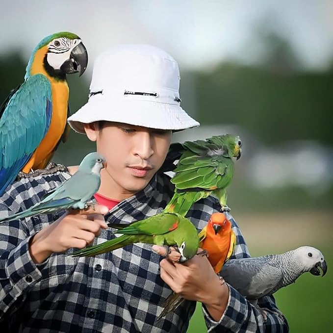 HULX Super Pigeon 100 Tablets, Bird Booster & Rooster Booster Speed Vitamins Health Chicken Supplement Increasing Energy Flying, Muscle Bone, Reduce Cramp Feed All Poultry Hen Food