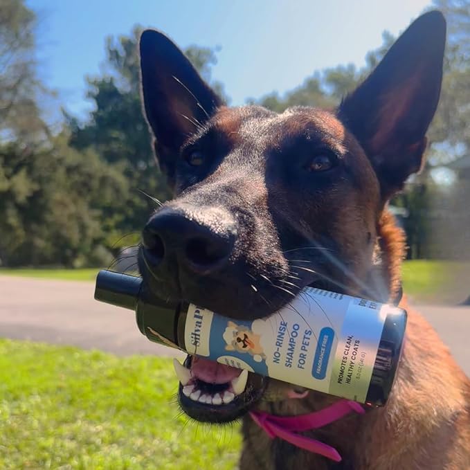 No Rinse Deodorizing Dry Pet Shampoo Plus Conditioner Foam for Dogs and Cats, Waterless Cleanse Enhanced with AG21 Chitosan-Silver Natural Coat Refresh, 5 Oz