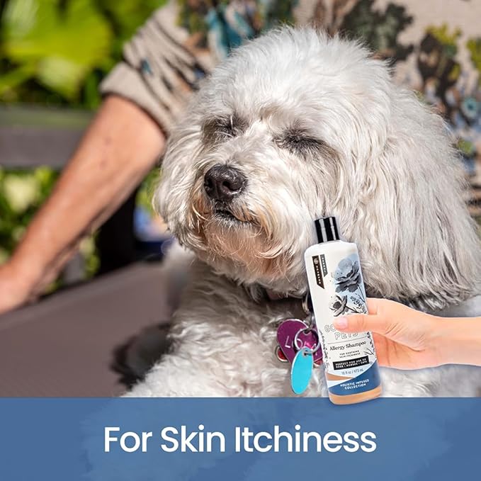 Holistic Natural Derived Allergy Pet Shampoo: Veterinarian Recommended: Soothing Skin Allergies and Skin Issues for Dogs, Cats and Horses - Made in USA - 16 oz