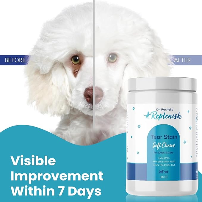 Replenish Tear Stain Chews for Dogs and Cats - Dr. Rachel's Tear Stain Remover for Dogs - Dog Eye Tear Stain Remover - Tear Stain Supplement for Dogs - Natural Tear Stain Soft Chews - 60 Count