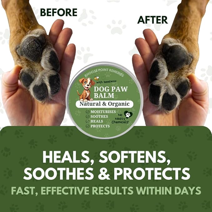 Rhoose Point Remedies Dog Paw Balm - Softens, Heals, Soothes & Protects Dogs Paws, Noses & Skin. All Natural, Organic Ingredients. Lick-Safe Protection for Dogs with Beeswax (2 fl.oz - Standard Tin)