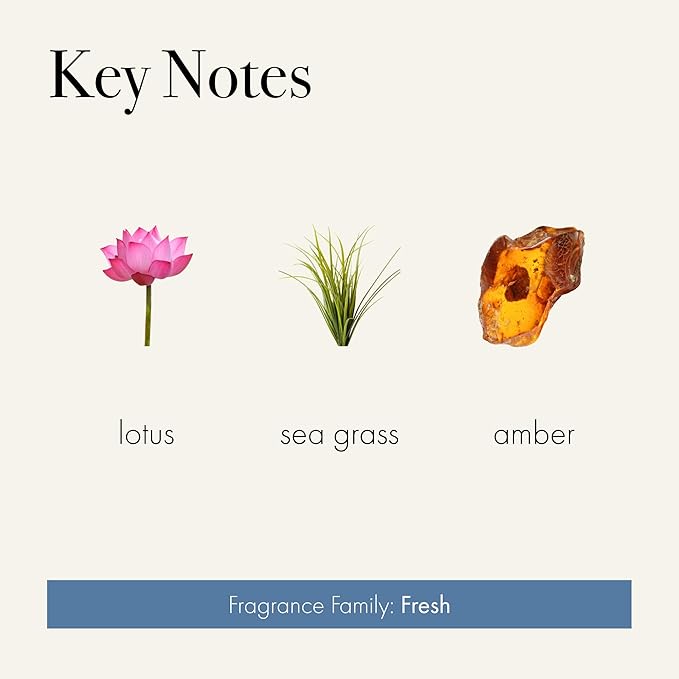 LAFCO New York 3-Wick Candle, Sea & Dune - 30 oz - 120-Hour Burn Time - Reusable, Hand Blown Glass Vessel - Made in The USA