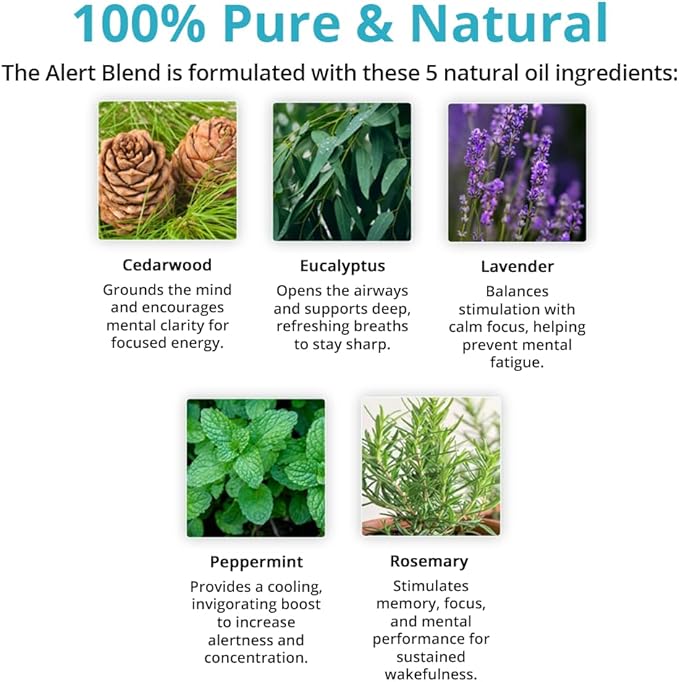 Wild Essentials Alert Essential Oil Blend 4-Piece Bundle –Energy, Focus & Mental Clarity with Roll-On, Spray, Nasal Inhaler & Pure Oil Diffuser Set– USA Made