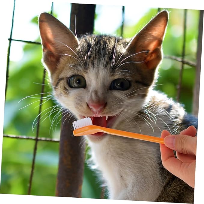 8pcs Dual-Head Dog Toothbrushes Set Soft Bristle Oral Care for Dogs Puppy Toothbrush Ergonomic Handle Dental Hygiene Kit for Small and Large Breeds