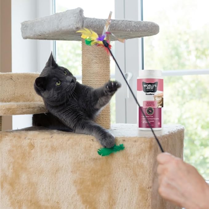 WORLD'S BEST CAT LITTER® Boosters™ Good Habits™ | Natural and Sustainable Cat Litter Additive | Attracts Your Cat to The Litter Box and Helps Avoid Accidents | Plant-Based Attractant | 18 oz Canister