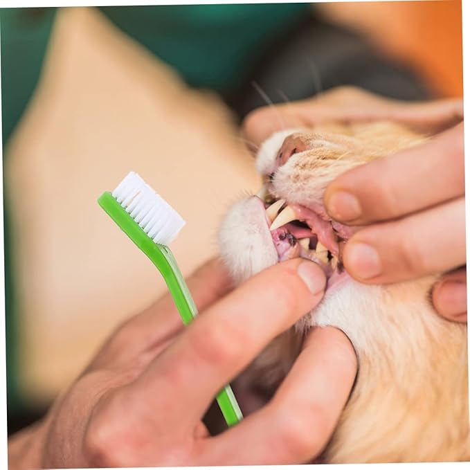 8pcs Dual-Head Dog Toothbrushes Set Soft Bristle Oral Care for Dogs Puppy Toothbrush Ergonomic Handle Dental Hygiene Kit for Small and Large Breeds