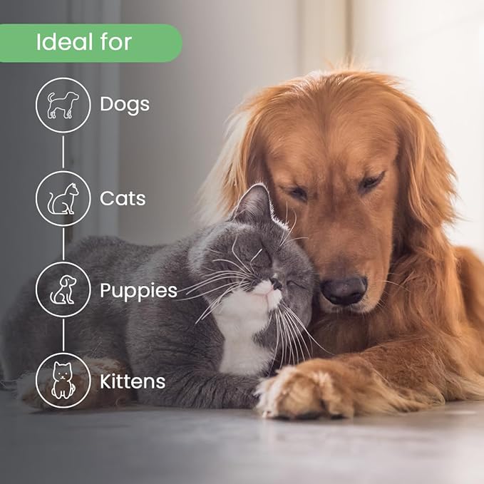 Best Shot Scentament Spa Fortifying Puppy Conditioner, Ideal Skin Care Product, for Deep Cortex Conditioning, Fresh Apple Lily, 1 Gallon