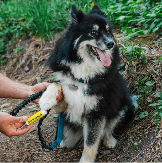 Dermatone Paw Stick for Dogs Stocking Stuffer | Natural Paw Balm for Cold, Heat, Salt, Sand & Snow | Moisturizing, Non-Toxic Paw Protector | Soothes, Repairs and Heals | 0.5oz Twist Stick
