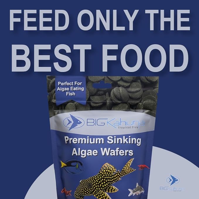 Large 18mm Algae Wafer - Algae Wafers for Bottom Feeders - The Best Pleco Wafers & Pleco Food Available - Algae Wafers for Snails (16 oz)