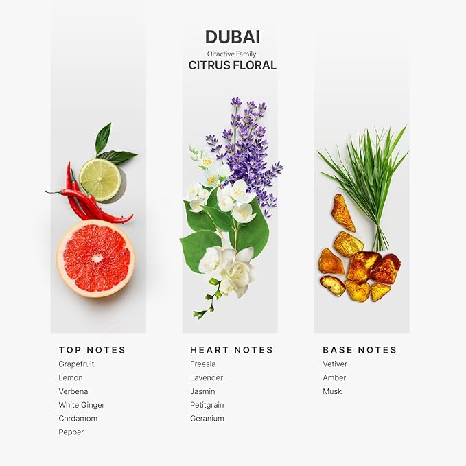 AromaPlan Hotel Scents Dubai 16 Fl Oz 2 Pack (946ml), Home Luxury Aroma & Hotel Fragrance Diffuser Oil- Hotel Diffuser Oil for Aromatherapy- USA Made, Bigger Bottle, Bolder Aroma & Longer Lasting