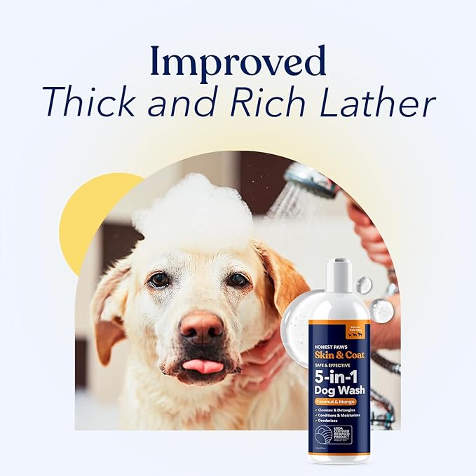 Honest Paws Dog Shampoo and Conditioner - Premium Dog Wash for Allergies and Dry, Itchy, Moisturizing for Sensitive Skin - Sulfate Free, Plant Based, All Natural - Coconut & Mango -16 Fl Oz