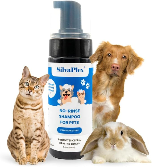 No Rinse Deodorizing Dry Pet Shampoo Plus Conditioner Foam for Dogs and Cats, Waterless Cleanse Enhanced with AG21 Chitosan-Silver Natural Coat Refresh, 5 Oz