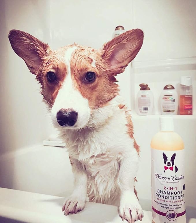 Warren London 2in1 Pet Shampoo and Conditioner for Dogs, Puppys, & Cats | Best Dog Shampoo and Conditioner for Dry Itchy Skin | Dandruff Shampoo for Dogs | Dog Shampoo Gallon Size