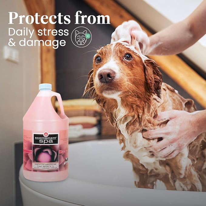 Best Shot Scentament Spa Fortifying Puppy Conditioner, Ideal Skin Care Product, for Deep Cortex Conditioning, Fresh Apple Lily, 1 Gallon