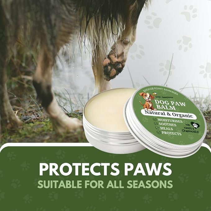 Rhoose Point Remedies Dog Paw Balm - Softens, Heals, Soothes & Protects Dogs Paws, Noses & Skin. All Natural, Organic Ingredients. Lick-Safe Protection for Dogs with Beeswax (2 fl.oz - Standard Tin)