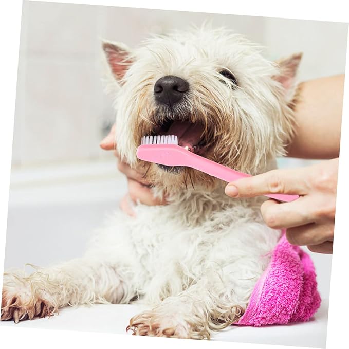 8pcs Dual-Head Dog Toothbrushes Set Soft Bristle Oral Care for Dogs Puppy Toothbrush Ergonomic Handle Dental Hygiene Kit for Small and Large Breeds