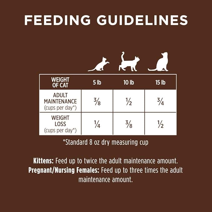 Instinct Original Dry Cat Food, Raw Coated Kibble, High Protein, Grain Free Recipe - Real Salmon, 10 lb. Bag