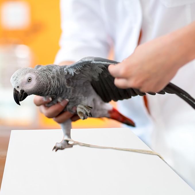 100PCS Disposable Parrot Cage Paper Liners Absorbent Urine Pads Breathable Bird Cage Cushion for and Easy Cleaning