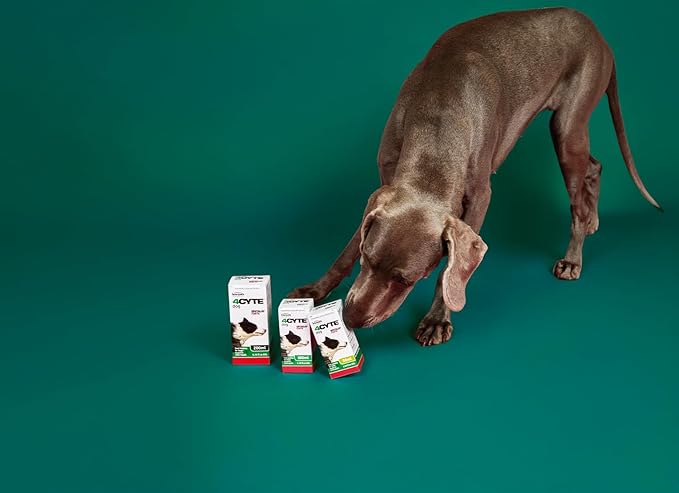 4CYTE™ Epiitalis® Forte Dog Gel (100ml/3.38 fl oz)