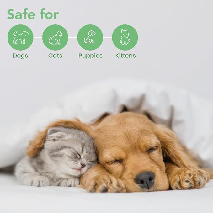 Best Shot Scentament Spa Caressing Puppy Wash, Mandarin Jasmine Honey, 16 oz