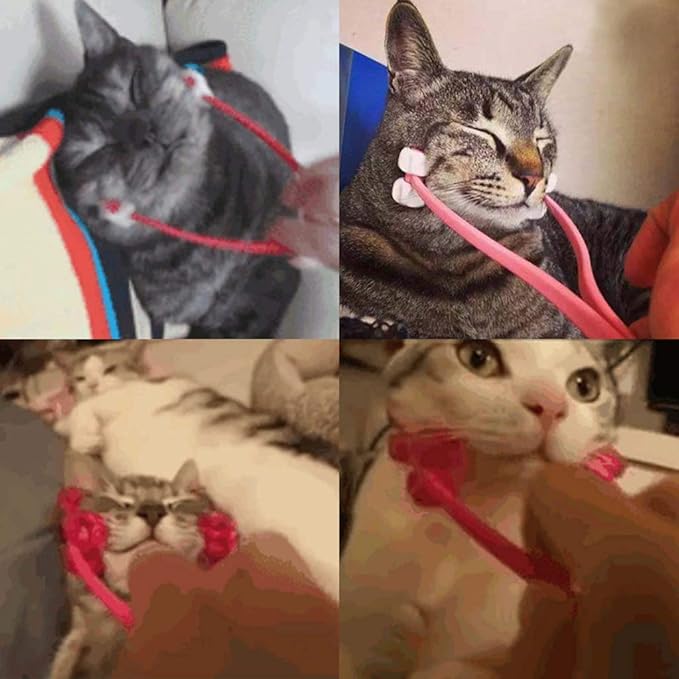 Face Massager for Cat Pet Face Massager Roller Cat Grooming Tool with 4 Massager Roller Handle Comfortable Grip