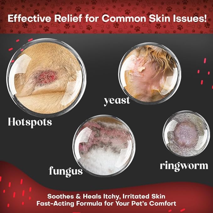 2% Chlorhexidine Wipes for Dogs 3X Larger | Yeast Infection Ringworm Fungus Hot Spot Itch Relief | Medicated Antibacterial Antifungal Gentle Soothing Topical Wipes for Dog Cat | 50 Wipes 5x6