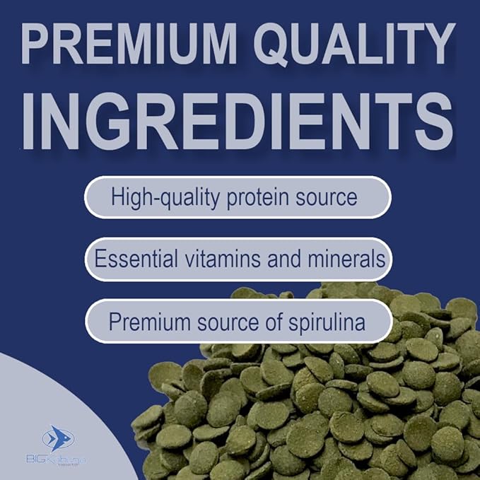 Large 18mm Algae Wafer - Algae Wafers for Bottom Feeders - The Best Pleco Wafers & Pleco Food Available - Algae Wafers for Snails (16 oz)