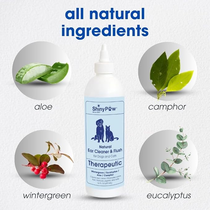 Dog Ear Cleaner Solution for Dogs & Cats 16 oz by Shiny Paw | Wintergreen, Camphor & Aloe – Gentle Ear Flush for Pets Health | Dog Ear Wash | Made in The USA