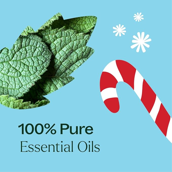 Plant Therapy Candy Cane Holiday Essential Oil Blend 10 mL (1/3 oz) Familiar, Sweet, Minty Aroma, Evokes The Scent of The Traditional Candy Cane, Use Topically, Uplifting and Invigorating Feeling