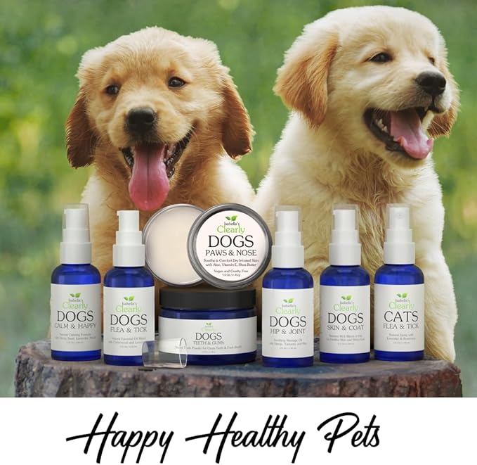 Isabella's Clearly Teeth & Gums, Natural Toothpaste for Dogs for Bad Breath, Tartar, Teeth Whitening | Leave On Tooth Powder, Tasty Cinnamon Flavor with Coconut and Kelp | Vegan, Made in USA