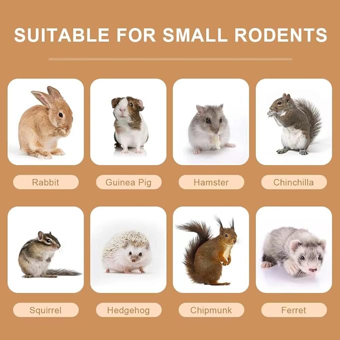 300g Guinea Pig & Rabbit Chew Toys with Apple & Timothy Sticks - Prevent Overgrown Teeth with Sweet Bamboo Treats - Ideal Rabbit Treats Included