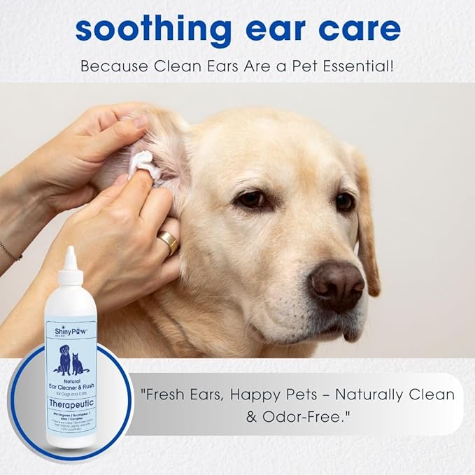 Dog Ear Cleaner Solution for Dogs & Cats 16 oz by Shiny Paw | Wintergreen, Camphor & Aloe – Gentle Ear Flush for Pets Health | Dog Ear Wash | Made in The USA
