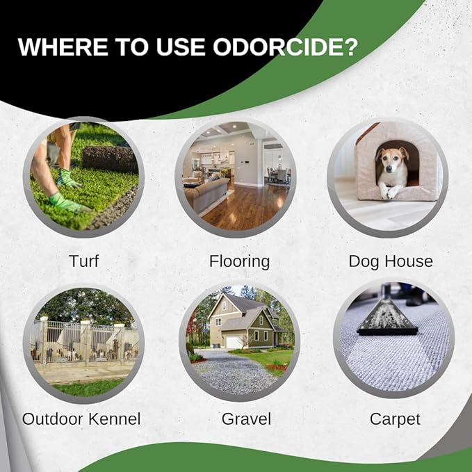 ODORMED Odor Eliminator Concentrate – Pet Odor Eliminator for Strong Odor on Floors, Walls, Cages & More – All-Purpose Carpet Deodorizer w/Safe, Non-Enzymatic Formula (1 Gal, Crisp Mountain Air)