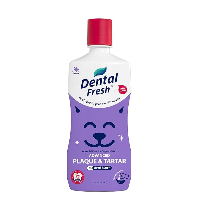 Dental Fresh Plaque & Tartar Control Water Additive for Dogs & Cats – Helps Support Clean Teeth, Healthy Gums & Fresh Breath – Advanced Formula Oral Care, 17 fl oz