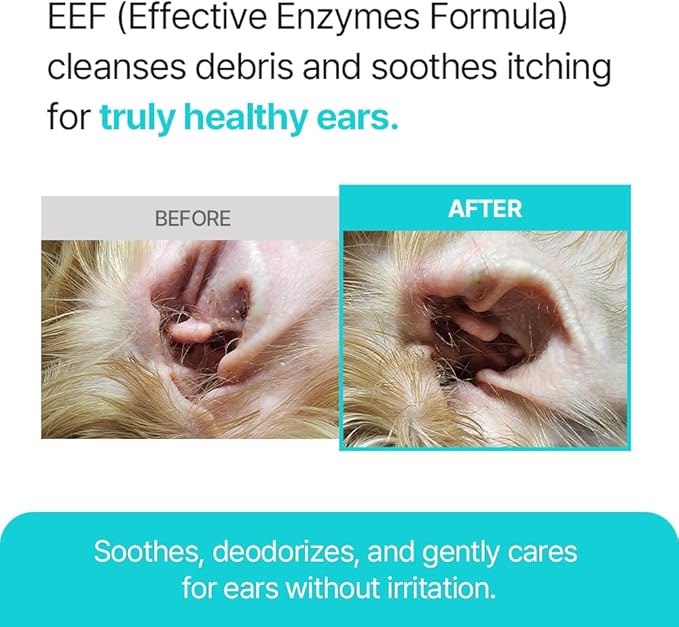 PetO’CERA EEF Ear Cleaner for Dogs & Cats, Vet Approved, Otic Enzymatic Infection Treatment, Gently Removes Debris, Odor, Soothes Itching, Hypoallergenic, Alcohol-Free, No Sting 4 fl oz