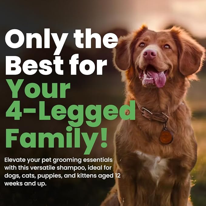 Best Shot Scentament Spa Caressing Puppy Wash, Mandarin Jasmine Honey, 1 Gallon