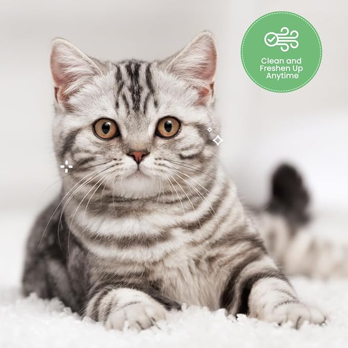 Best Shot ONE Shot Dry Clean Spray, Waterless Pet Grooming Spray for Pets, Alcohol-Free Formula, Safe for Any Dog, Cat, and Horse, 1 Gallon