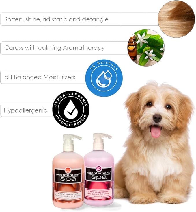 Best Shot Scentament Spa Puppy Conditioner, Mandarin Jasmine Honey Fragrance, pH Balanced and Hypoallergenic Skin Care Product for Any Dog, Cat, Puppy, and Kitten, 1 Gallon