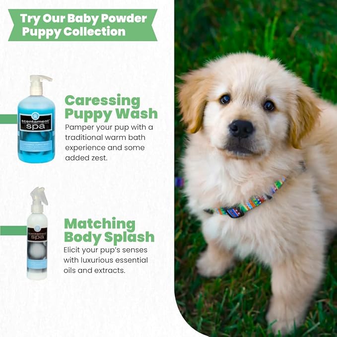 Best Shot Scentament Spa Caressing Puppy Wash, Baby Powder, 1 Gallon