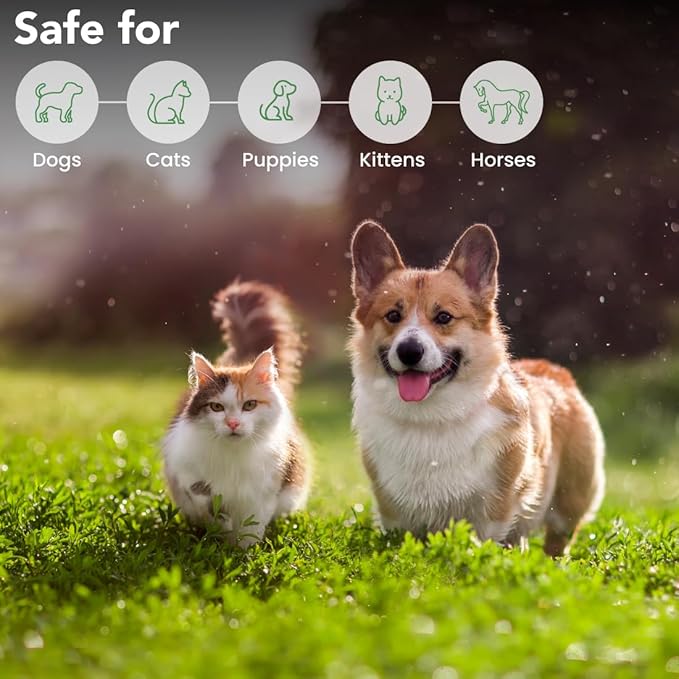 Best Shot ONE Shot Dry Clean Spray, Waterless Pet Grooming Spray for Pets, Alcohol-Free Formula, Safe for Any Dog, Cat, and Horse, 1 Gallon